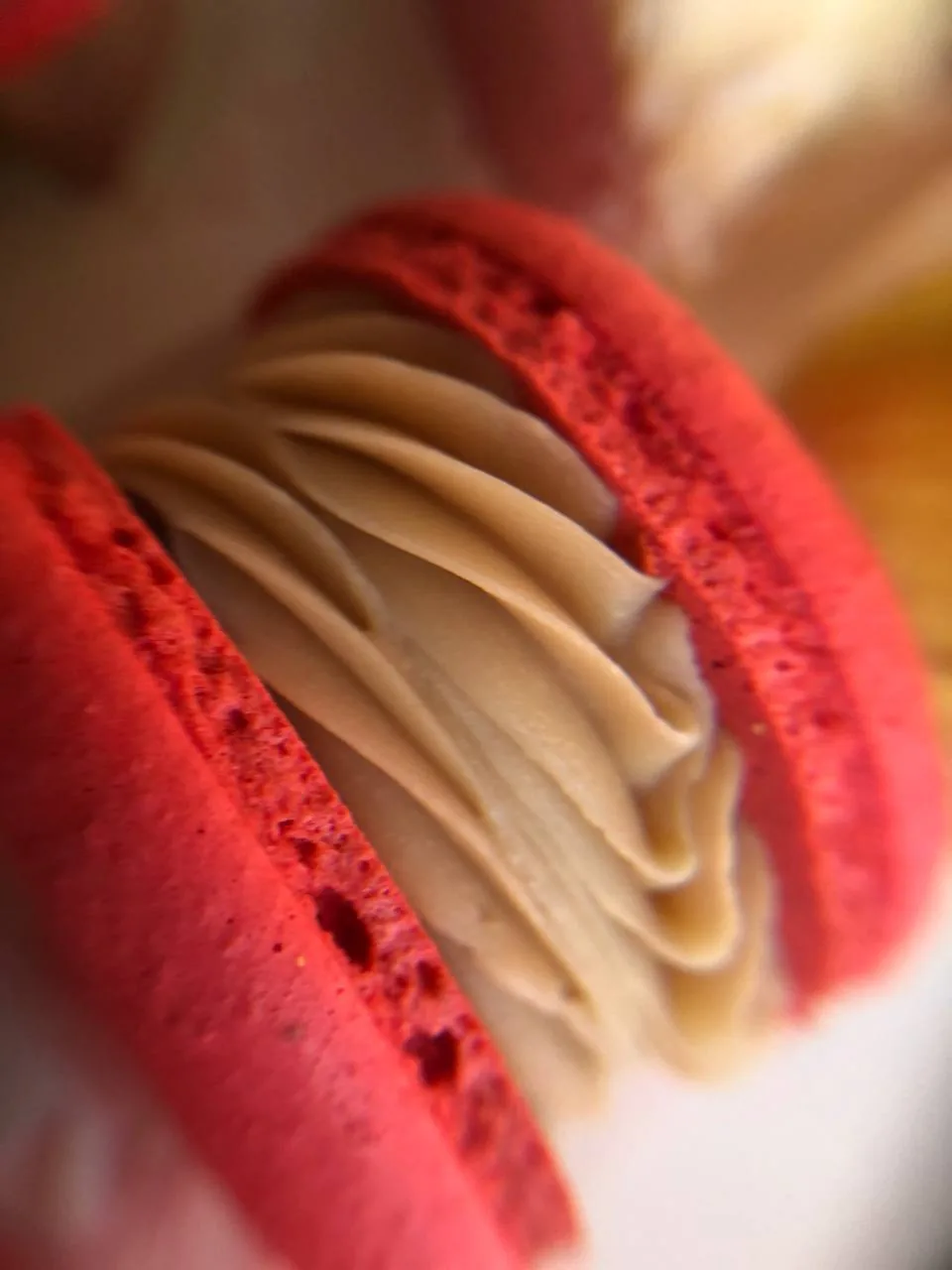 Nastassia Chocolate — макаронс с ягодной начинкой